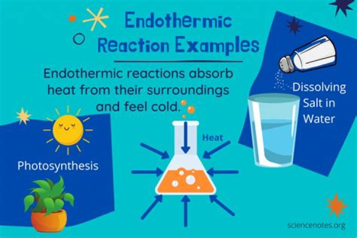 Are endothermic reactions spontaneous?