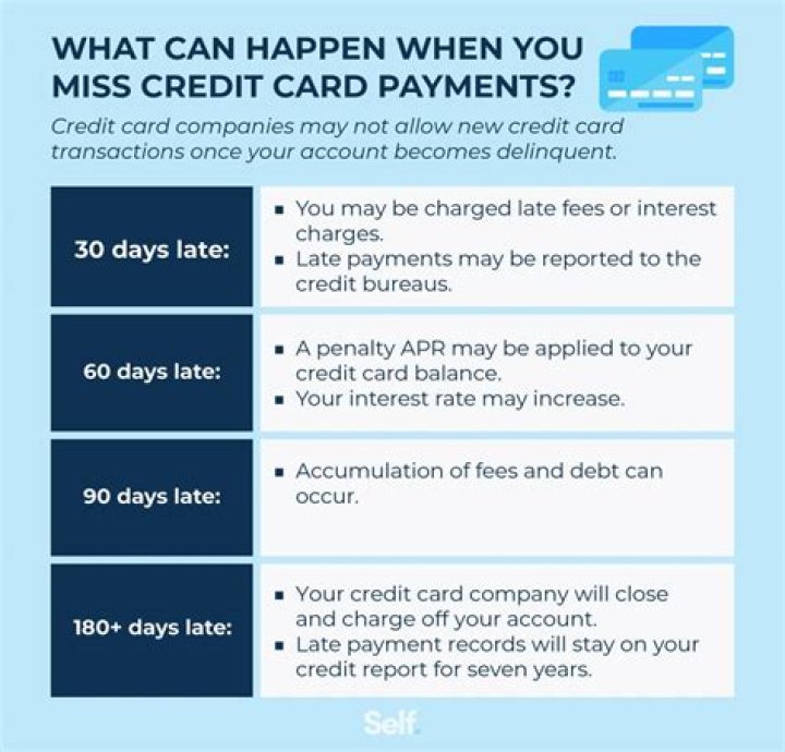 Can Credit Card debt stop you from getting a passport?