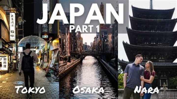 Can you go to Japan when pregnant?