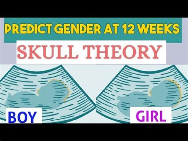 Can you tell gender by skull?