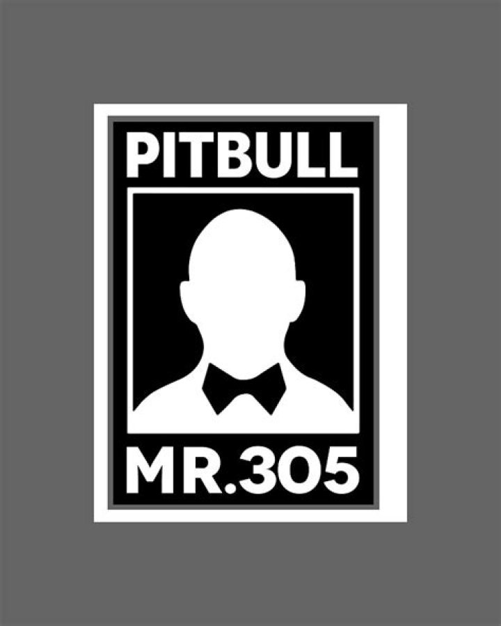 How did Pitbull get the name mr 305?