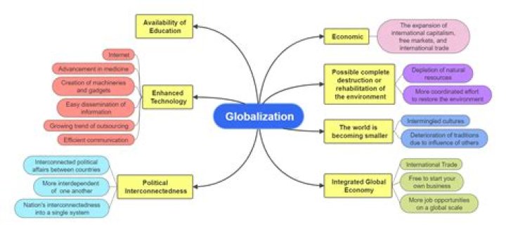 How did privatization affect Indian economy?