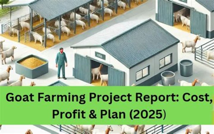 How do I create a project report for goat farming?