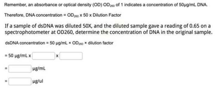 How do you calculate DNA concentration from OD260?