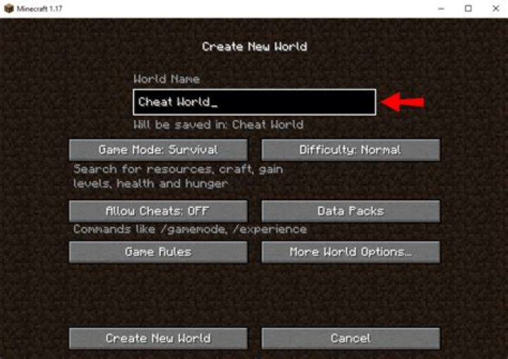 How do you cheat on Minecraft PE?