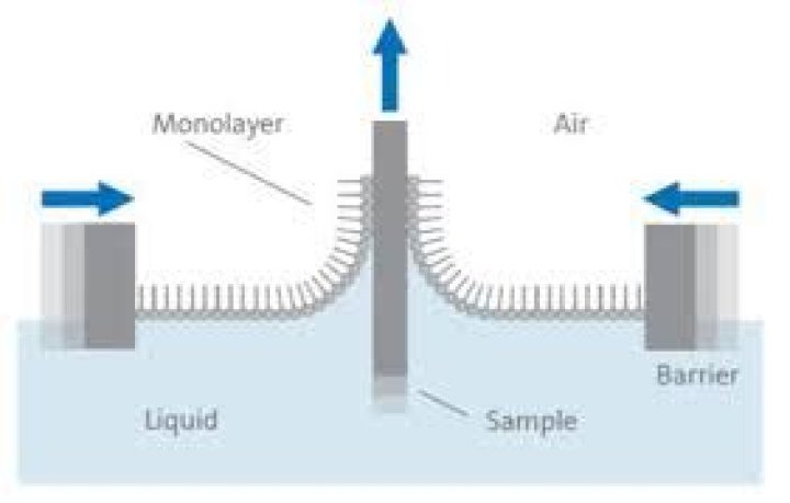 How do you derive Langmuir adsorption isotherm?