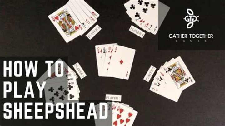 How do you identify sheepshead?