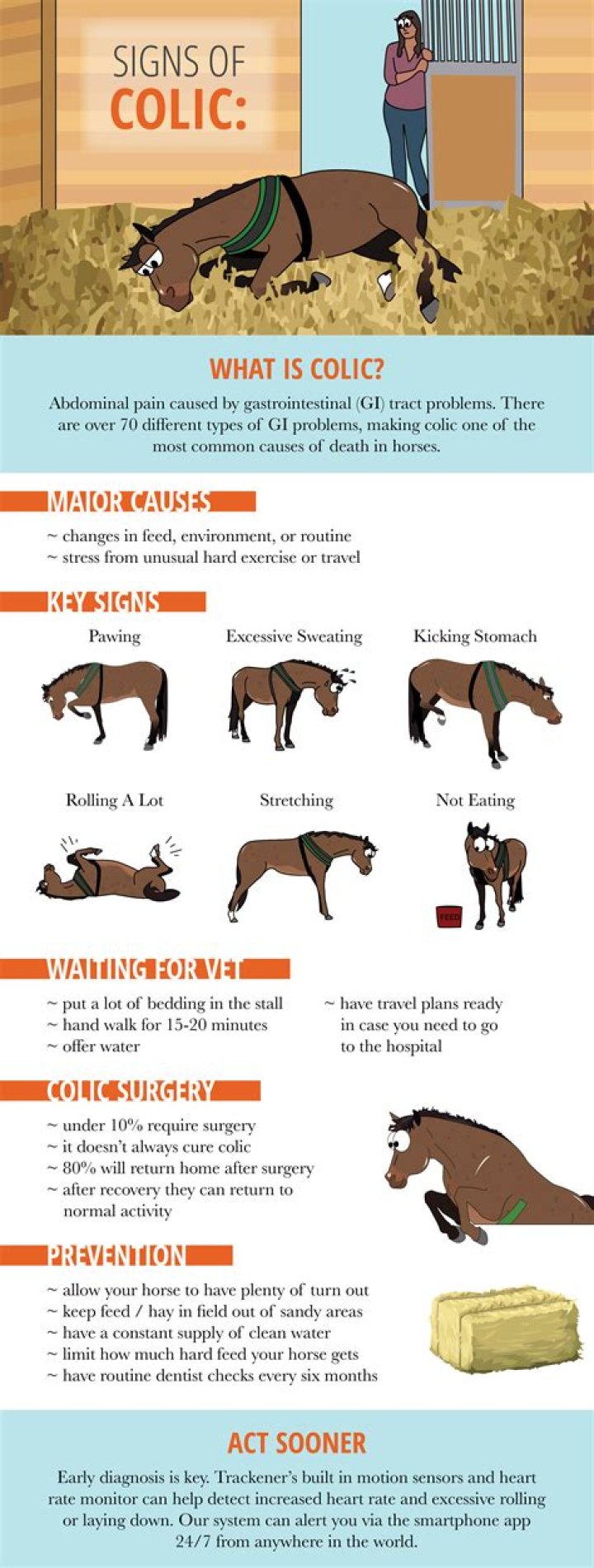 How do you treat colic in puppies?