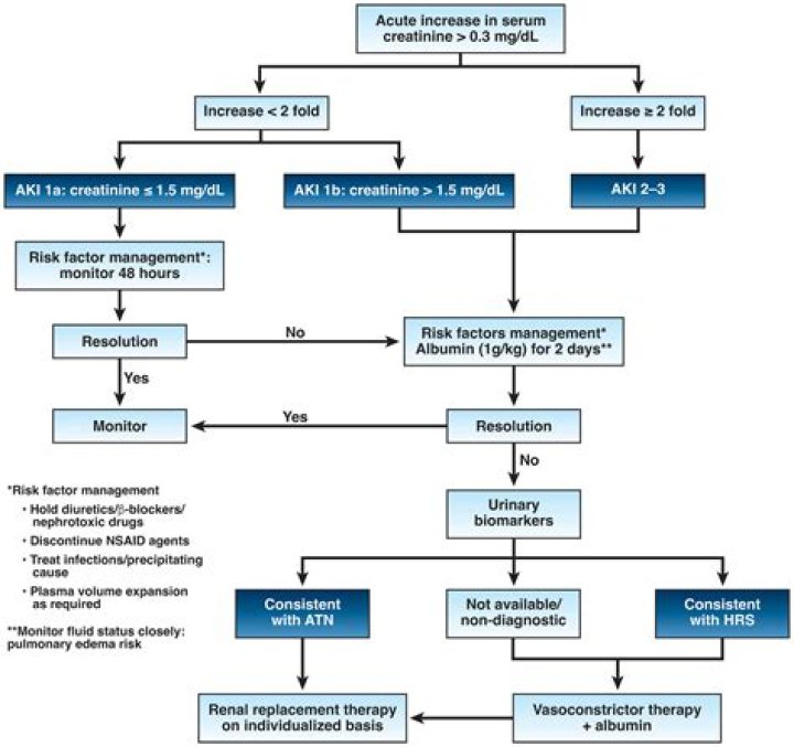 How do you treat pneumatoceles?