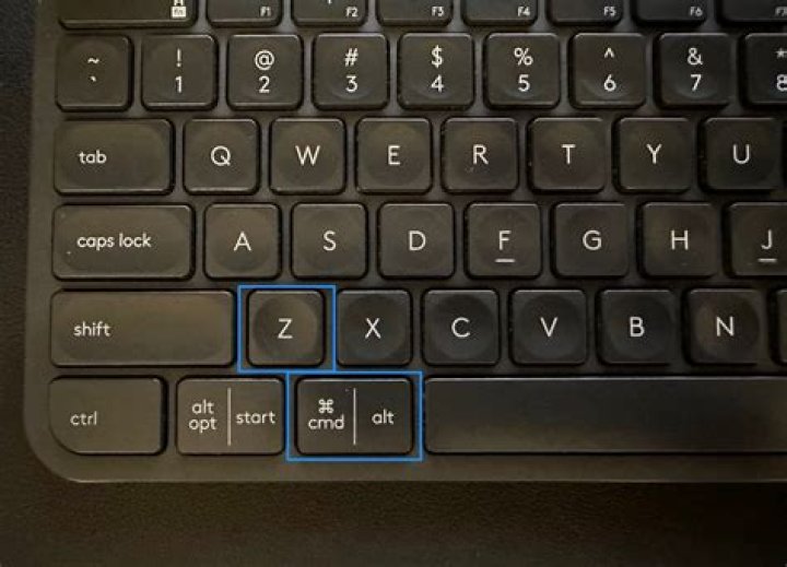 How do you undo on a Mac?