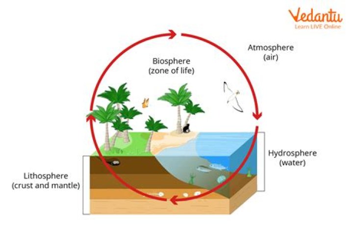 How long can an ecosphere last?