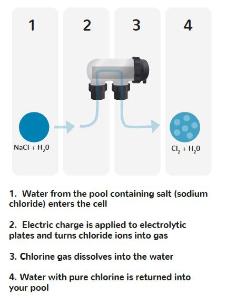 How long should a chlorinator last?