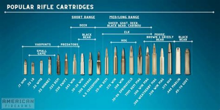 How many bullets do you need for an EPR?