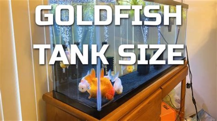 How many gallons does a pet goldfish need?