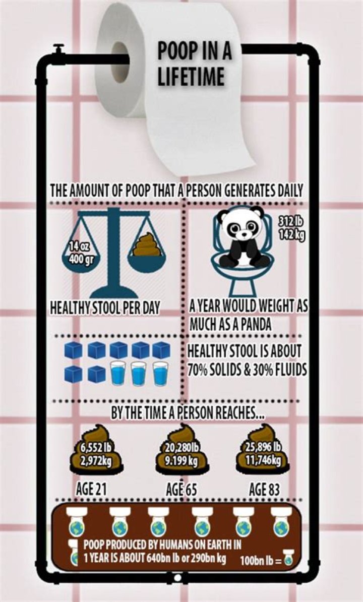 How many times does the average person pee in their lifetime?