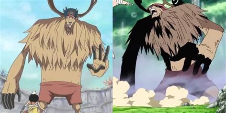 How many transformations can Chopper transform into?