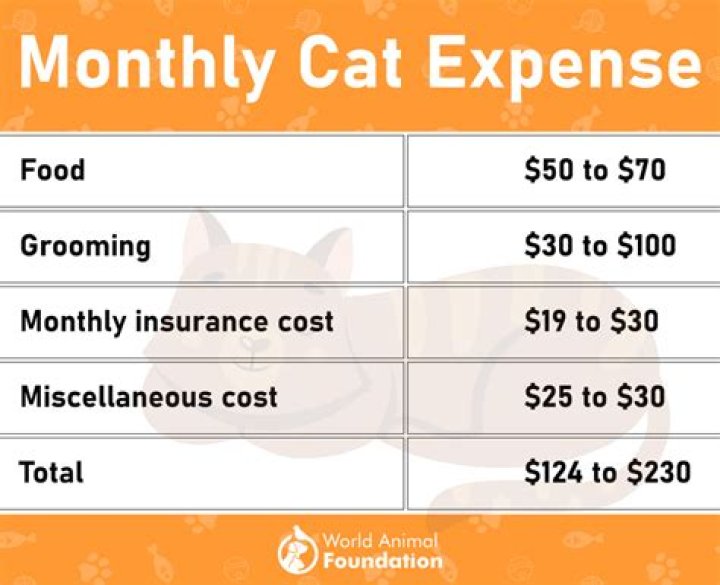How much does it cost for taxidermy?