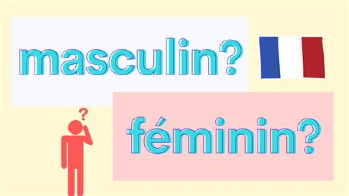 Is Chambres masculine or feminine in French?