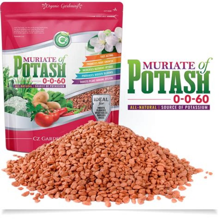 Is salt a byproduct of potash?