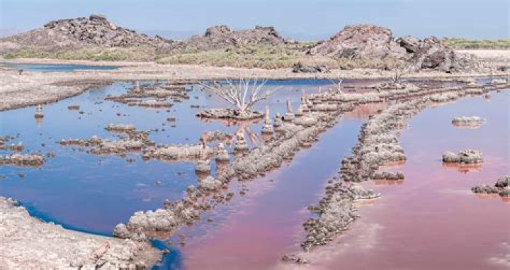 Is the Salton Sea safe to swim in?