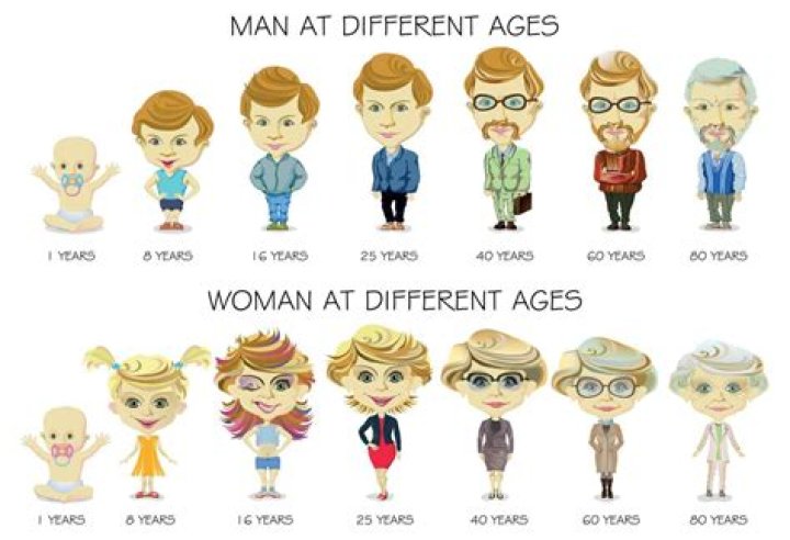 What age range is adults?