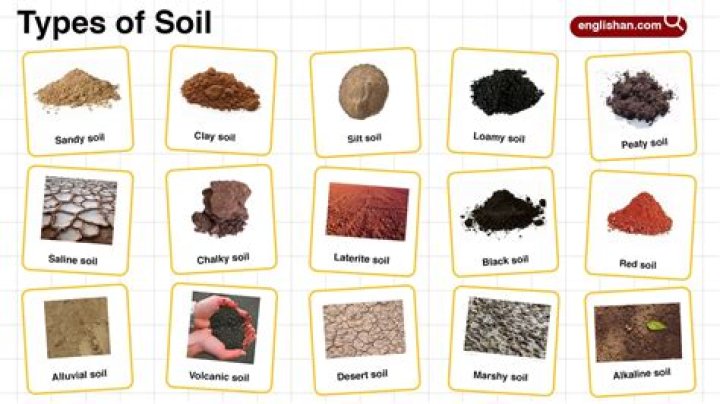 What are 5 properties of soil?