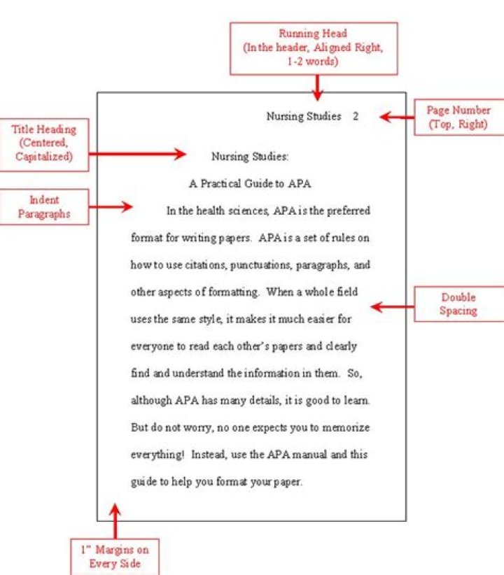 What are APA Standards for writing a paper?