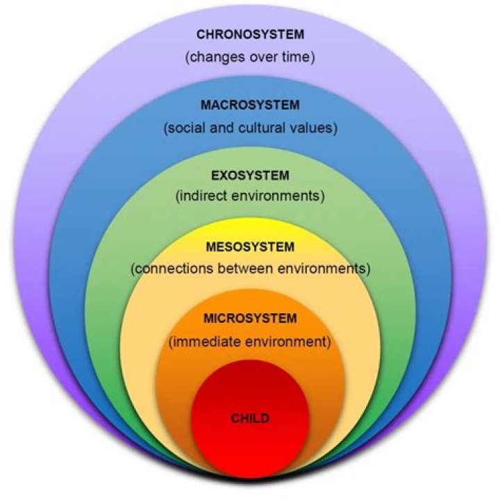 What are human systems in social work?