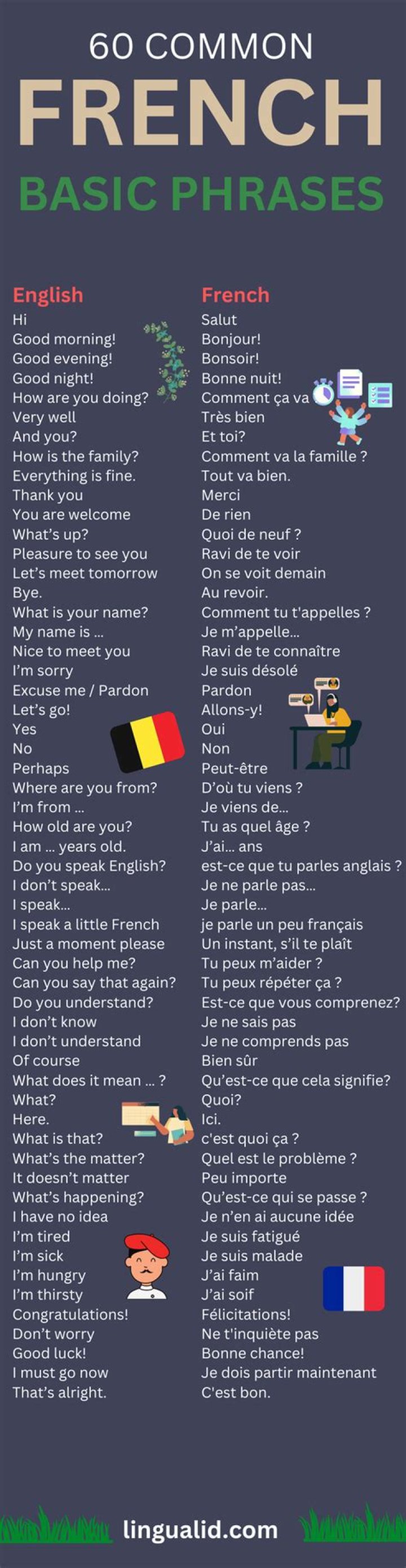 What are some common French phrases?