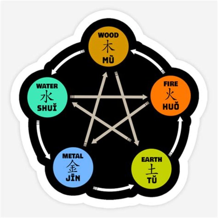 What are the 5 types of qigong?