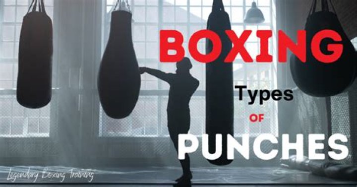 What are the 7 punches in boxing?