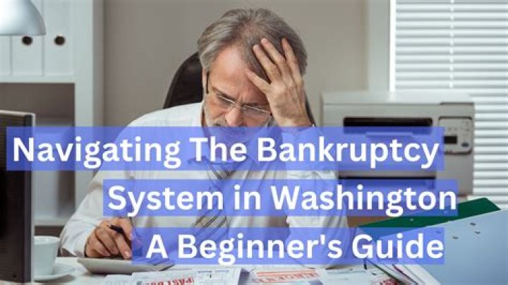 What are the bankruptcy court questions?