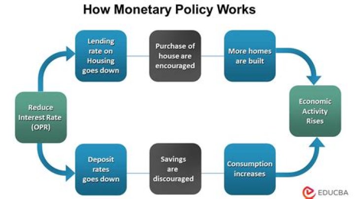 What are the causes of monetary policy?