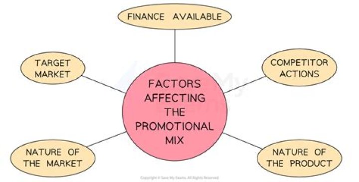What are the factors affecting promotional decisions?