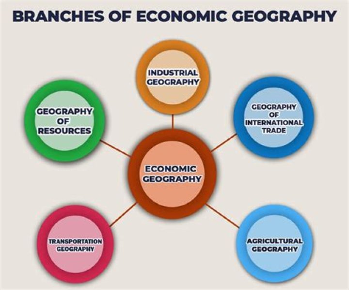 What are the important branches of economic geography?