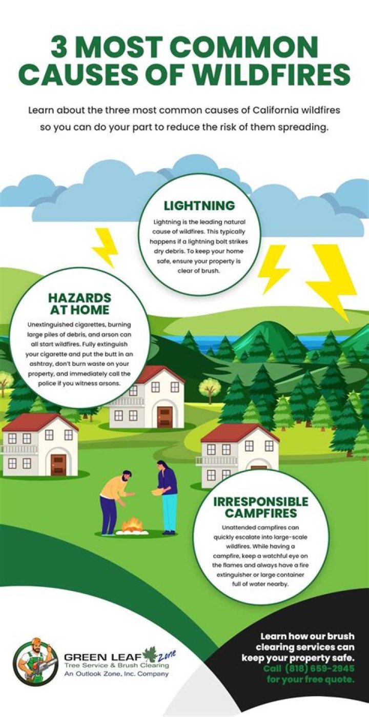What are the main causes of brush fires?