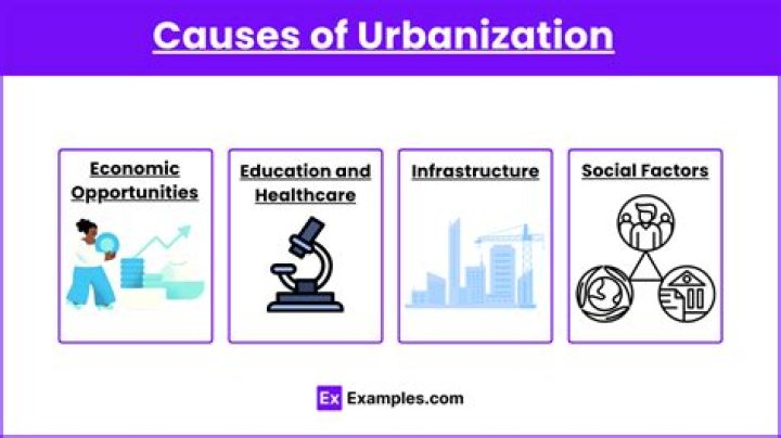 What are the reasons of urbanization in UAE?