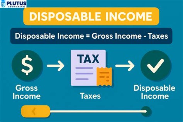 What are the two ways households can use disposable income?