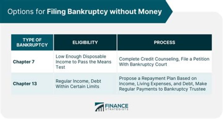 What are two things you Cannot write off due to filing bankruptcy?