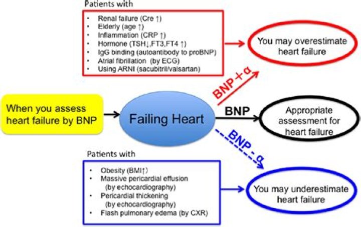 What BNP level indicates heart failure?