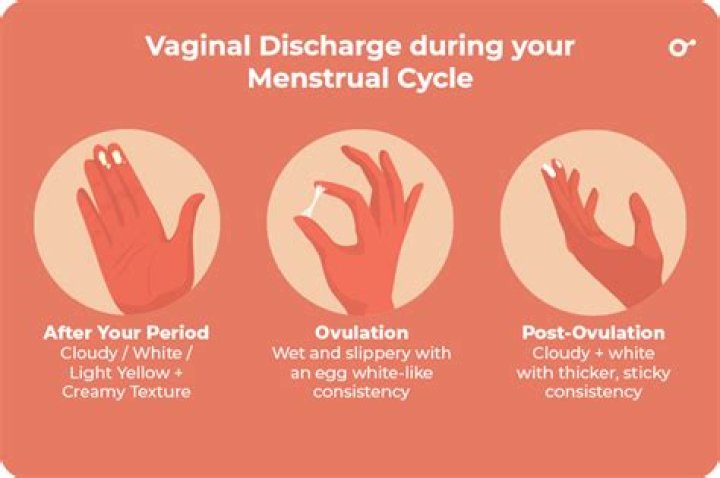 What does discharged mean?