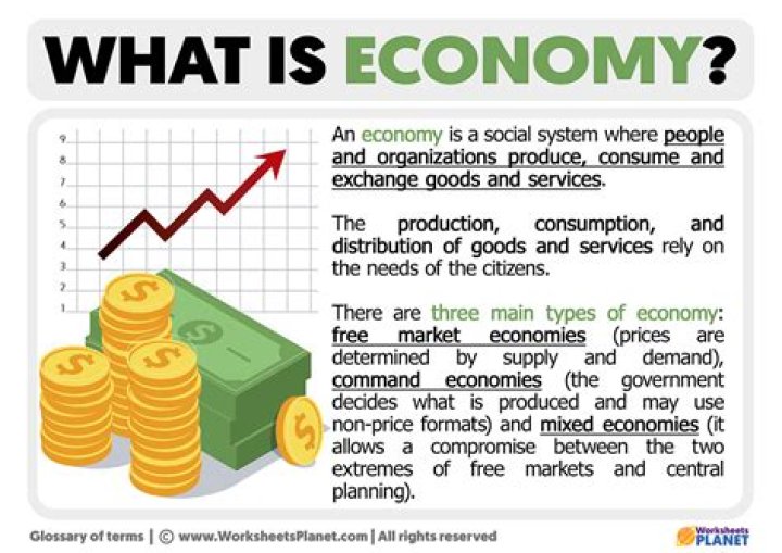 What does economy mean in simple terms?