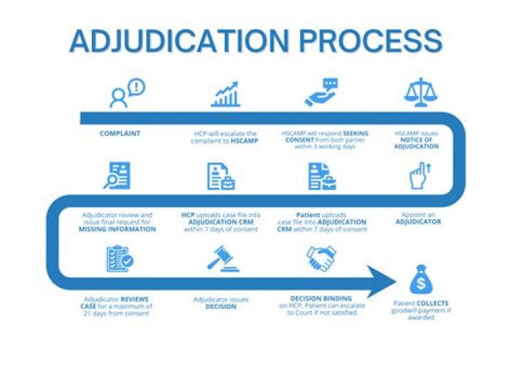 What does it mean if a case is adjudicated?