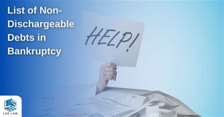 What does non-dischargeable in bankruptcy mean?