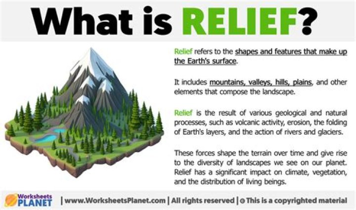 What does Relief from Stay mean?
