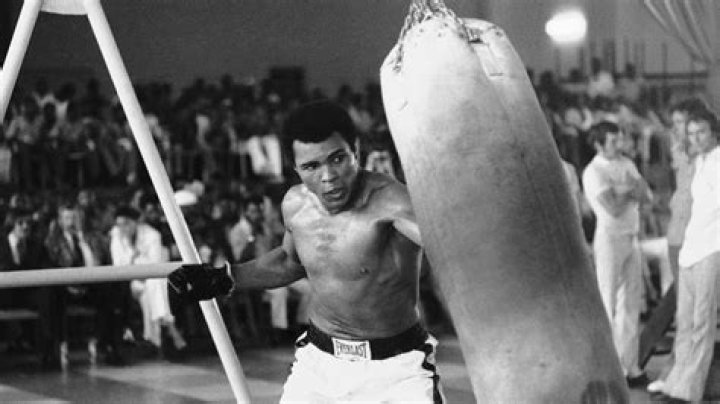What happened to Egypt after Muhammad Ali died?