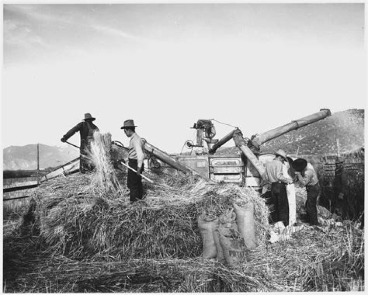 What happened to farms and farmers in the mid 1970s?