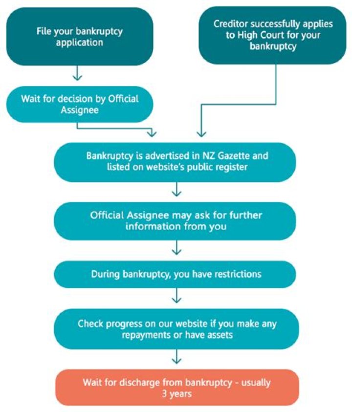 What happens if US goes bankrupt?
