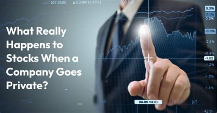 What happens to my stock when it goes private?