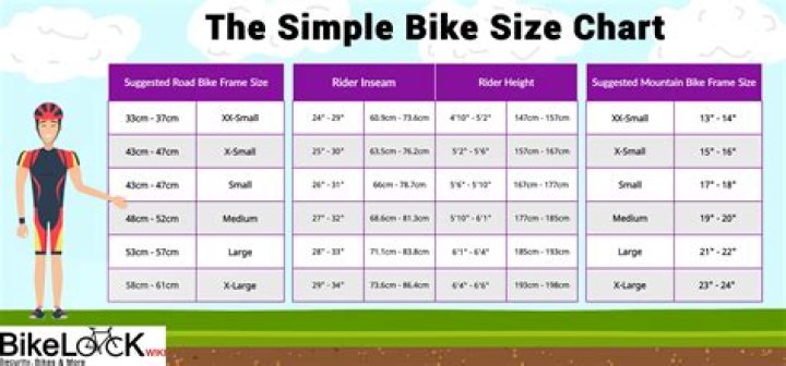 What height should a 29er bike be?